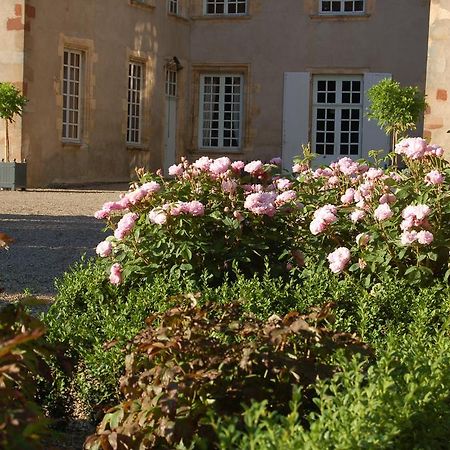 Chateau Du Riau Bed and Breakfast Villeneuve-sur-Allier Esterno foto