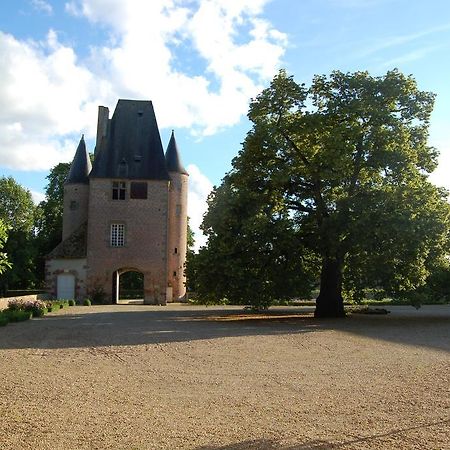 Chateau Du Riau Bed and Breakfast Villeneuve-sur-Allier Esterno foto