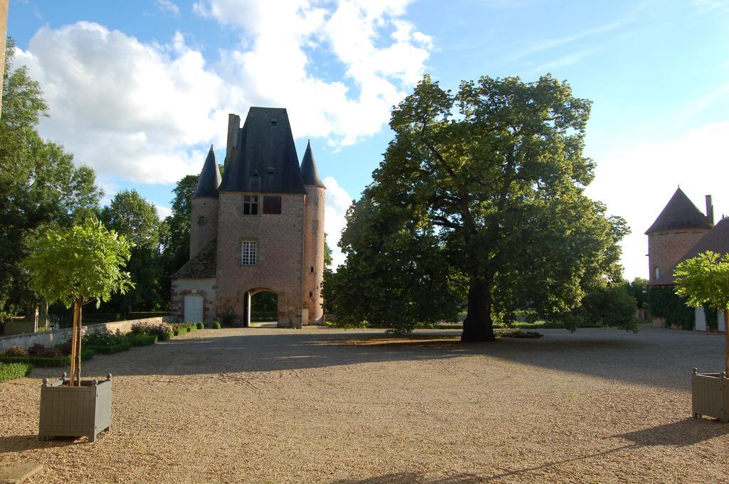 Chateau Du Riau Bed and Breakfast Villeneuve-sur-Allier Esterno foto