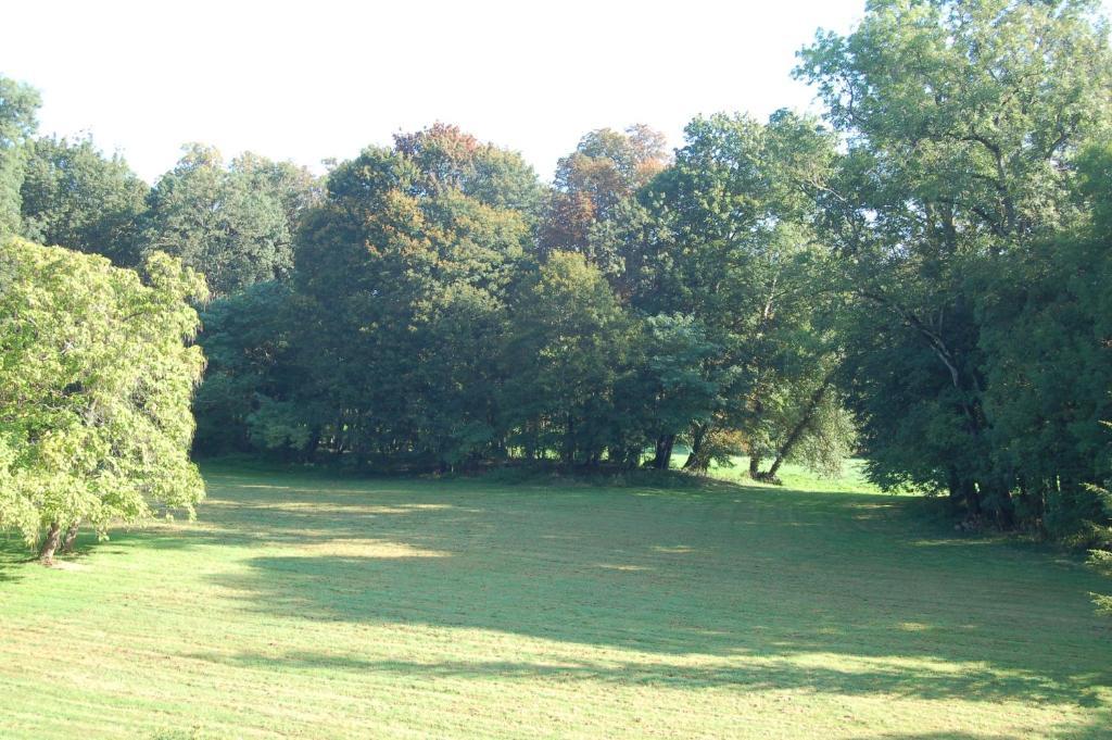 Chateau Du Riau Bed and Breakfast Villeneuve-sur-Allier Esterno foto