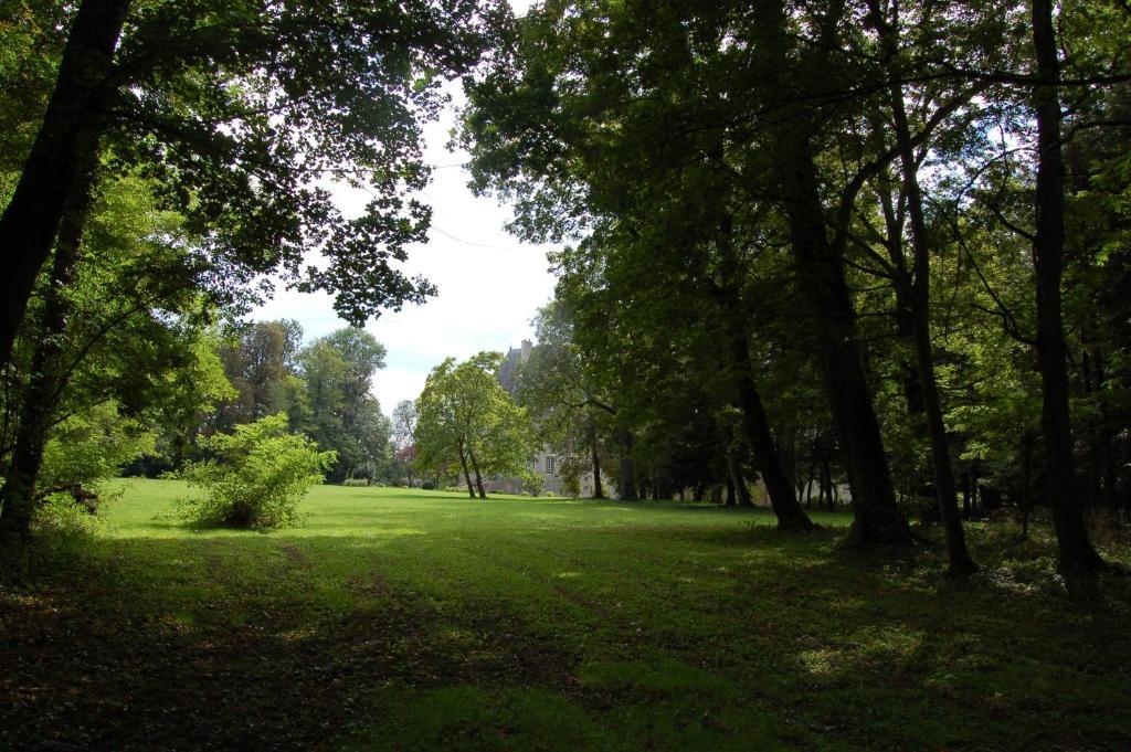 Chateau Du Riau Bed and Breakfast Villeneuve-sur-Allier Esterno foto